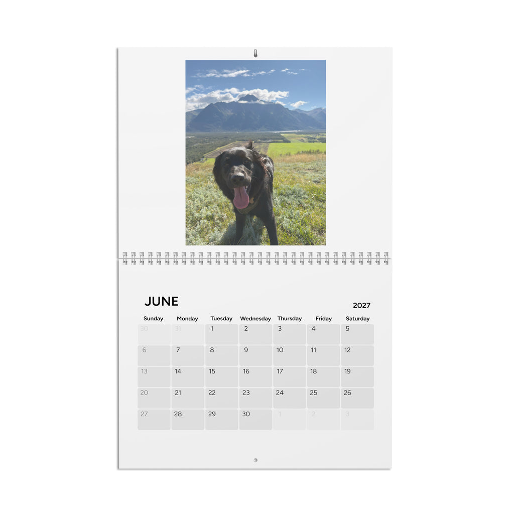 2027 Moose Calendar – My Store
